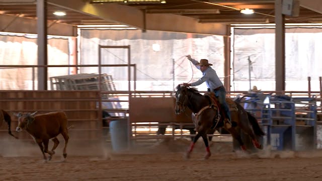 Riding Calmly To the Steer