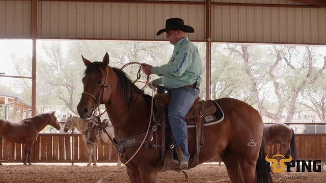 Heel-O-Matic Drills for Head Horses