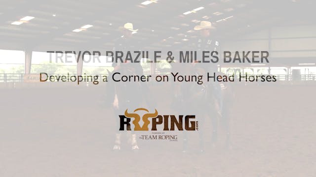 Developing a Corner on Young Head Horses