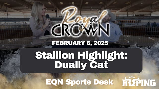 Stallion Highlight: Dually Cat | Roya...