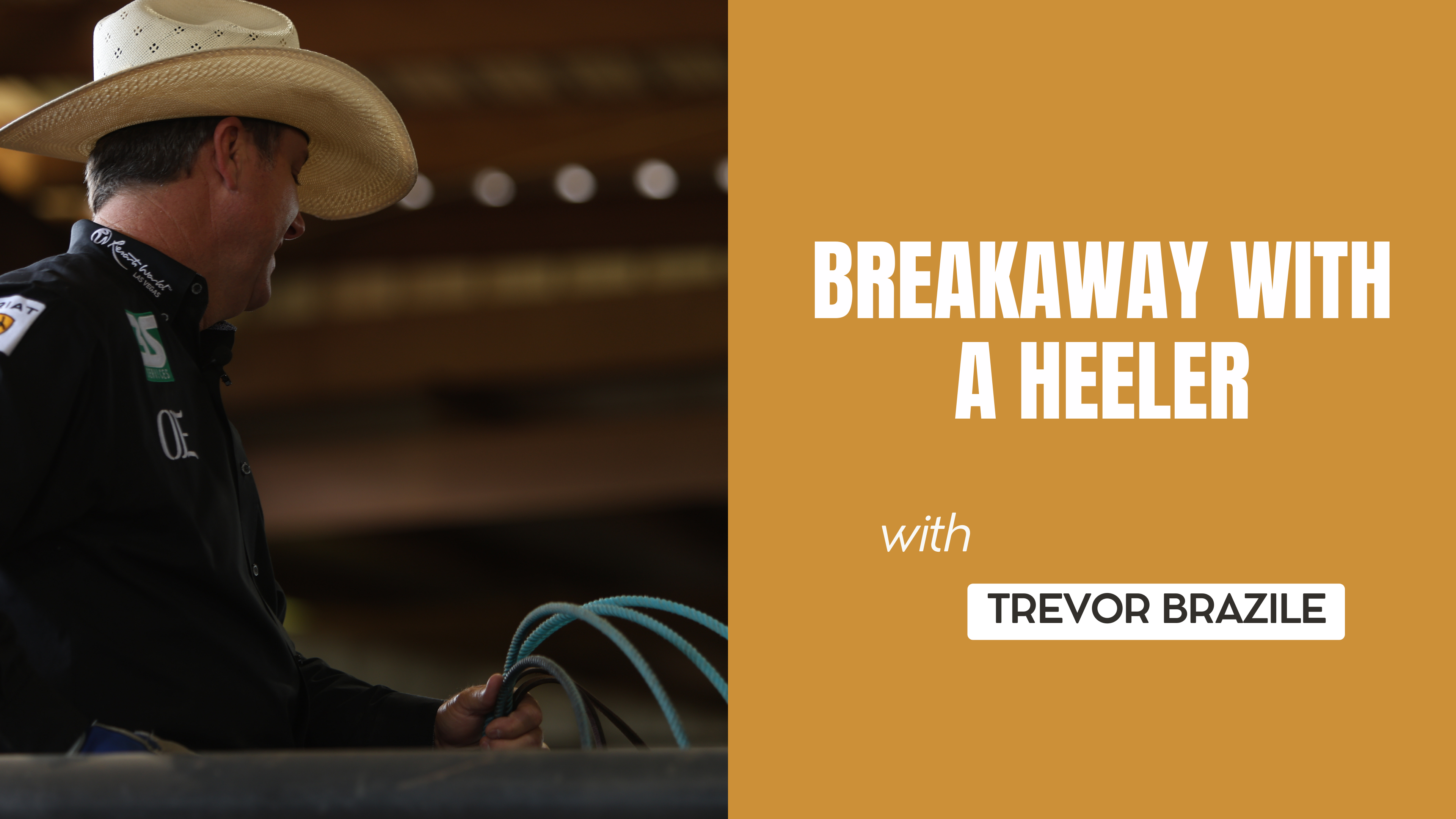 Breakaway with a Heeler