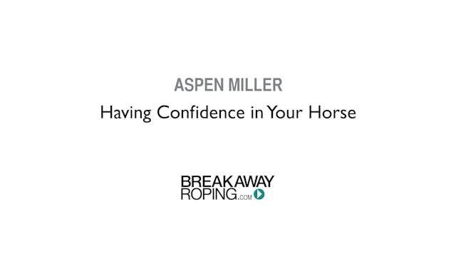 Having Confidence in Your Horse