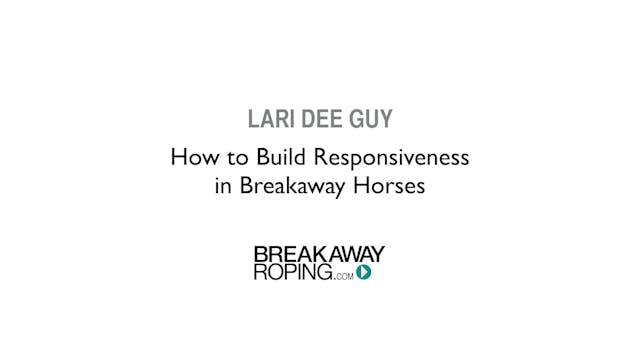 How to Build Responsiveness in Horses
