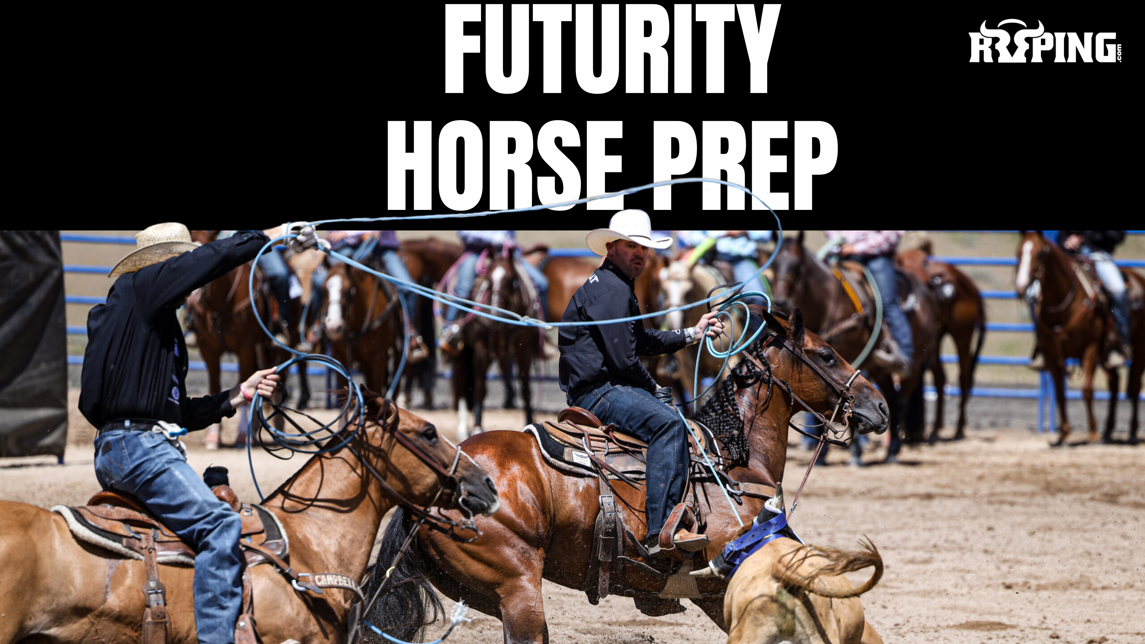 Futurity Horse Prep