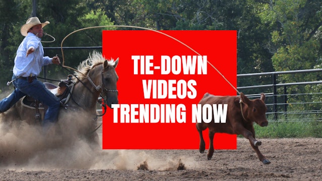 Tie-Down Videos Trending Now