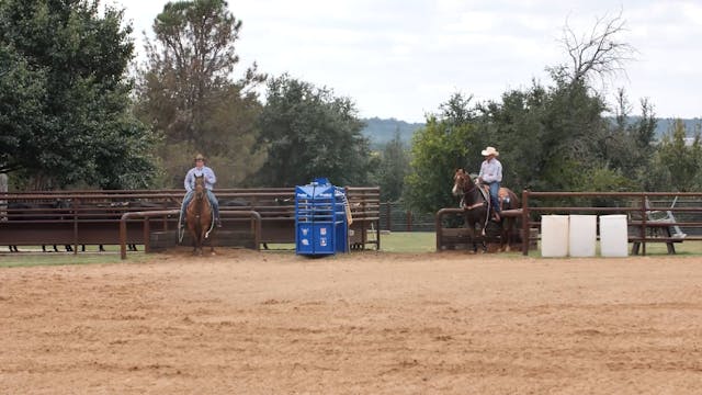 Nervous Horse Scoring