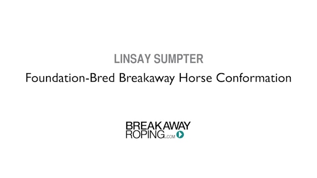 Foundation-Bred Breakaway Horse Conformation
