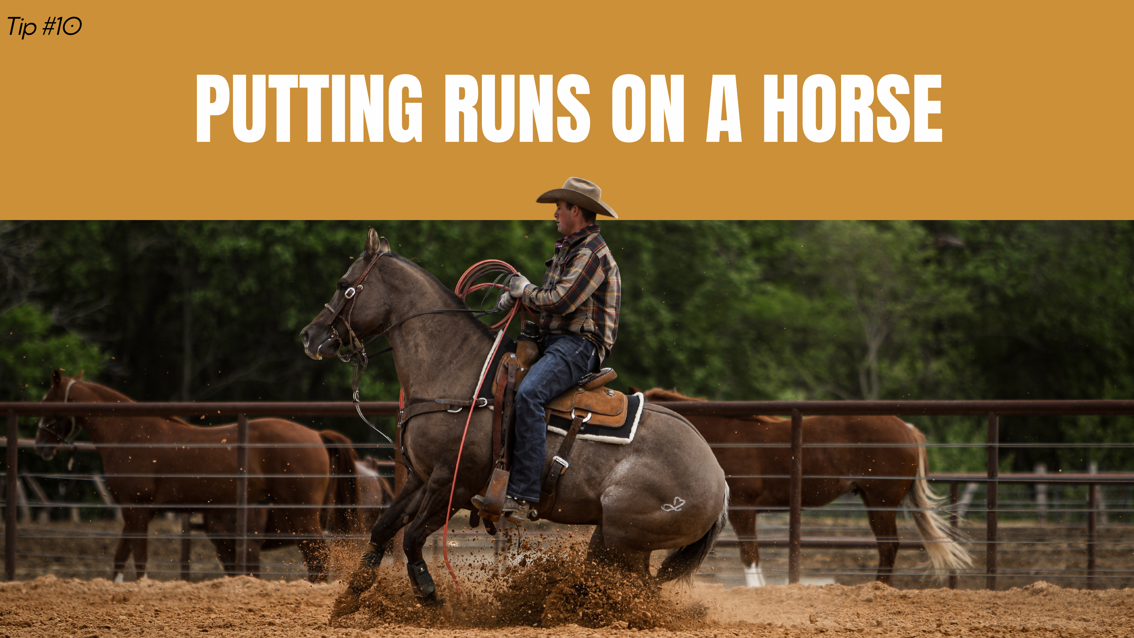 Putting Runs on a Horse