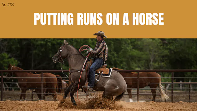 Putting Runs on a Horse