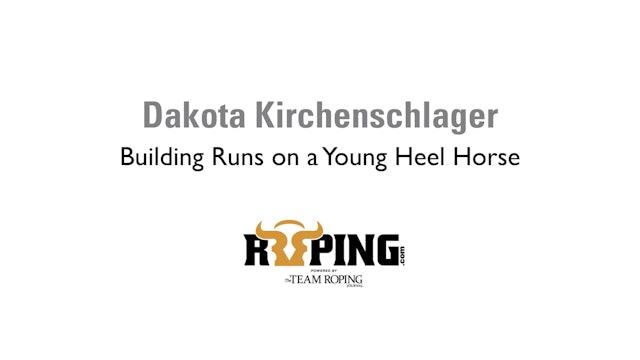 Building Runs on a Young Heel Horse