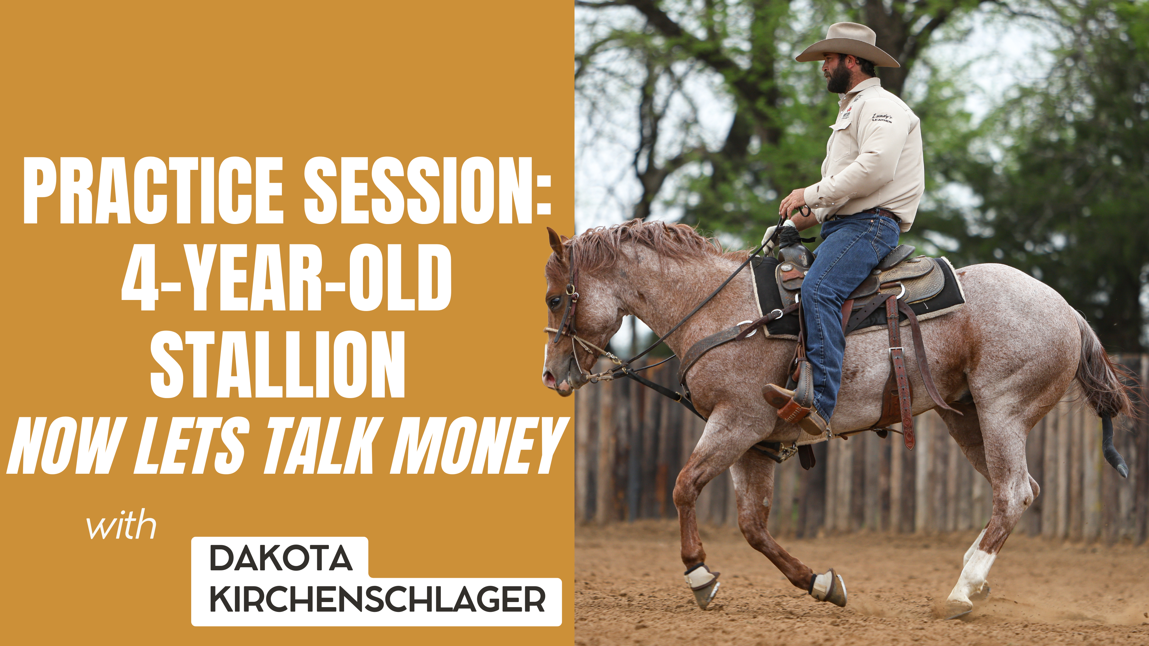 Practice Session: 4-Year-Old Stallion Now Lets Talk Money