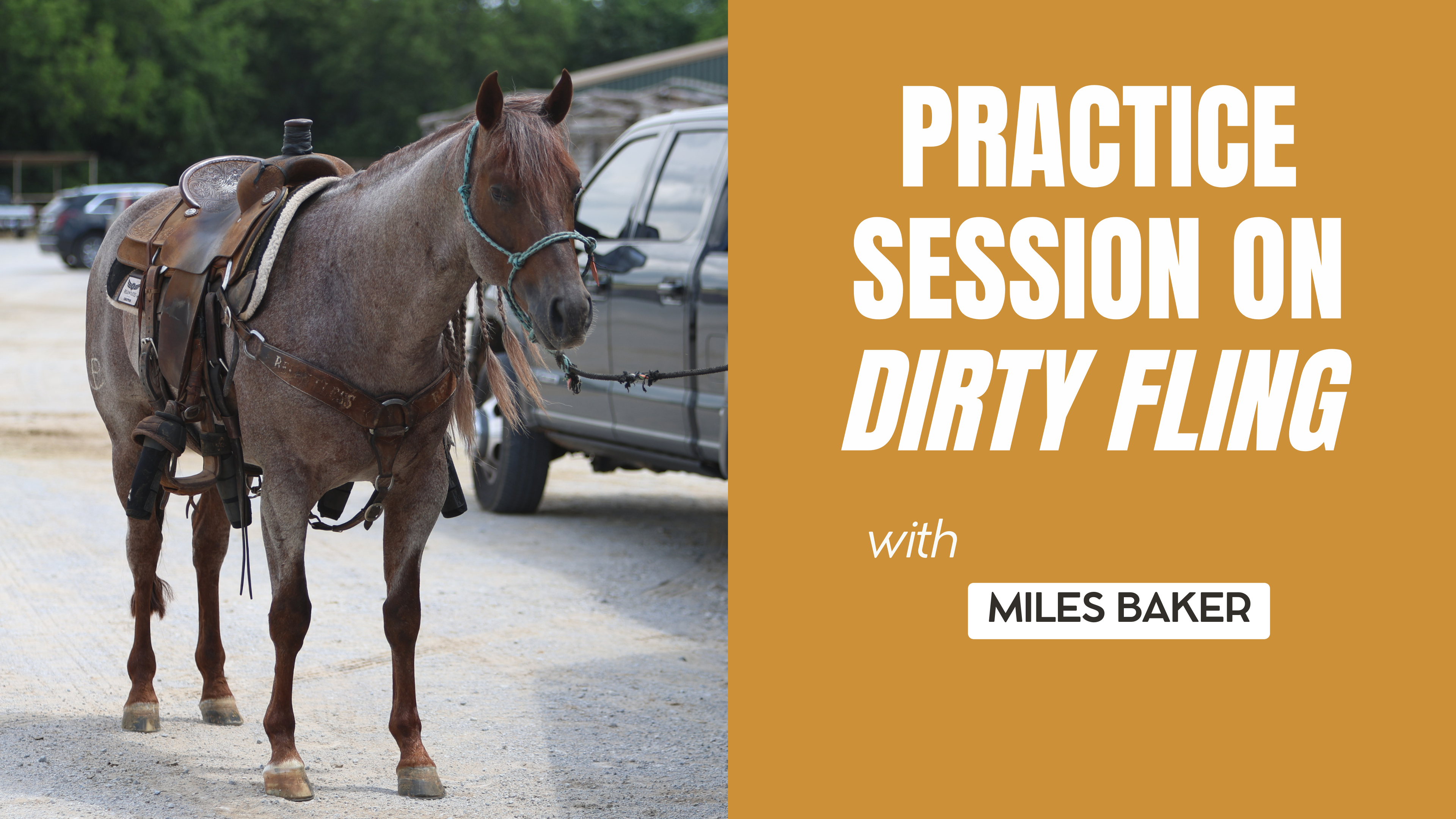 Practice Session on Dirty Fling