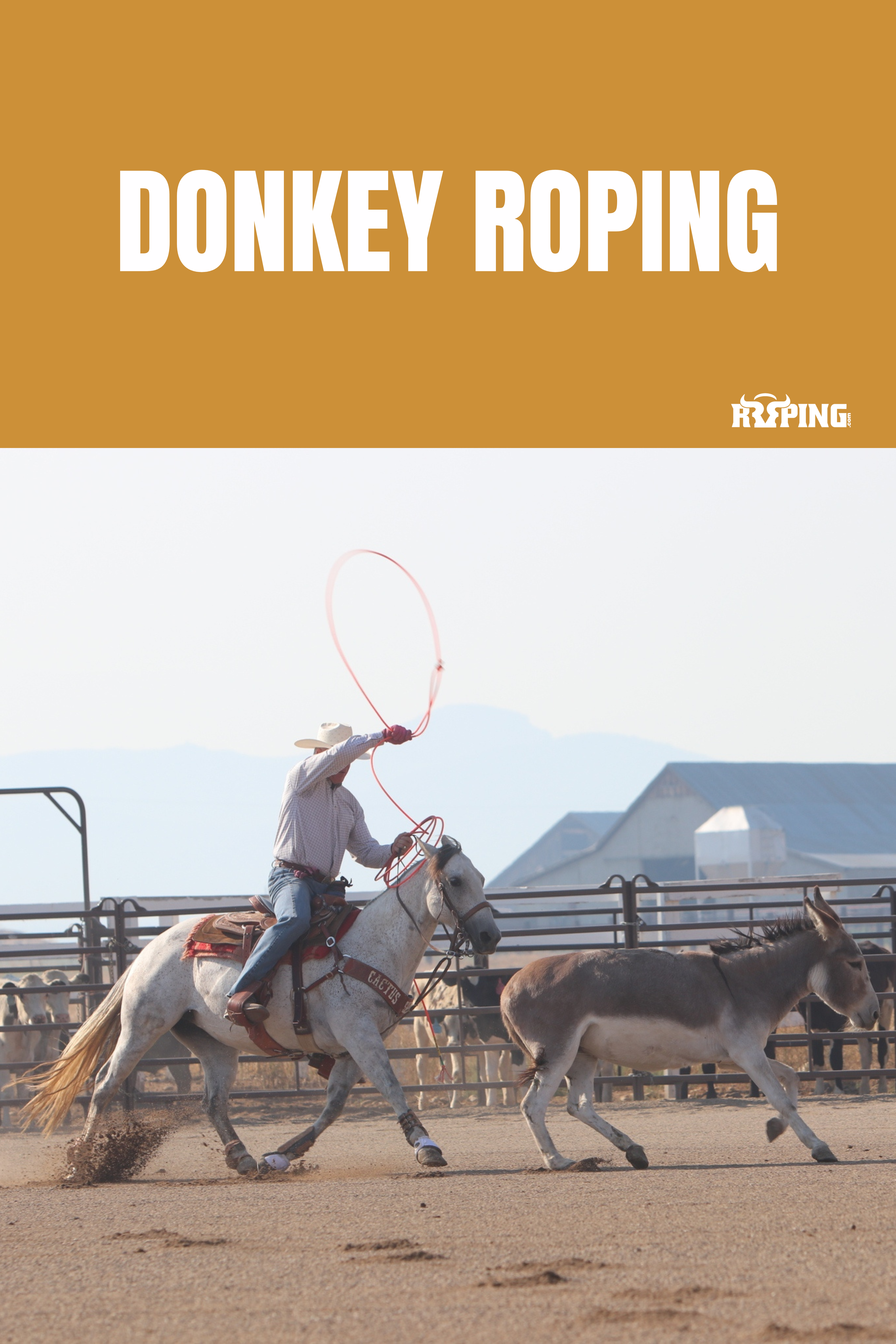 Donkey Roping