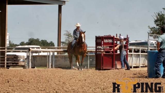 Practice Session - Strong Calf Horse