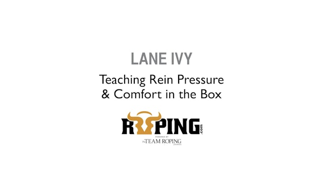 Teaching Rein Pressure and Comfort in the Box