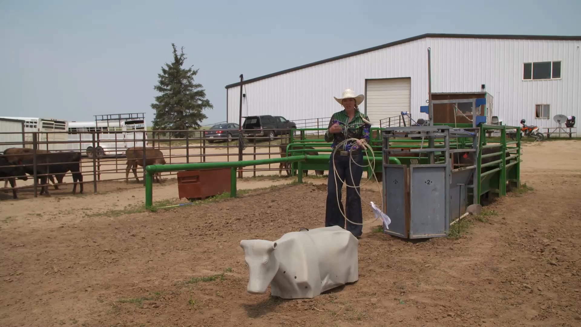 5 Key Elements of Successful Breakaway Roping: Power