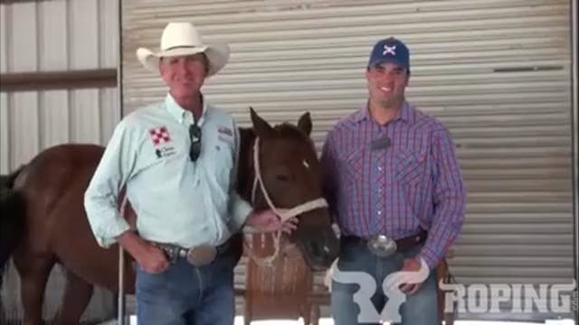 Equine Dentistry