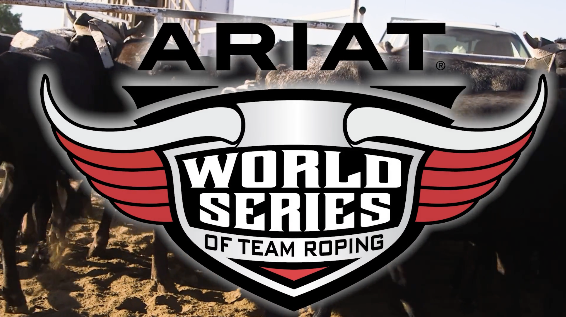 2023 WSTR Finale Steer Break-In Footage