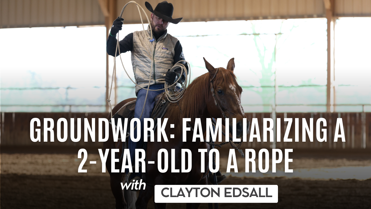 Groundwork: Familiarizing a 2-Year-Old to a Rope with Clayton Edsall