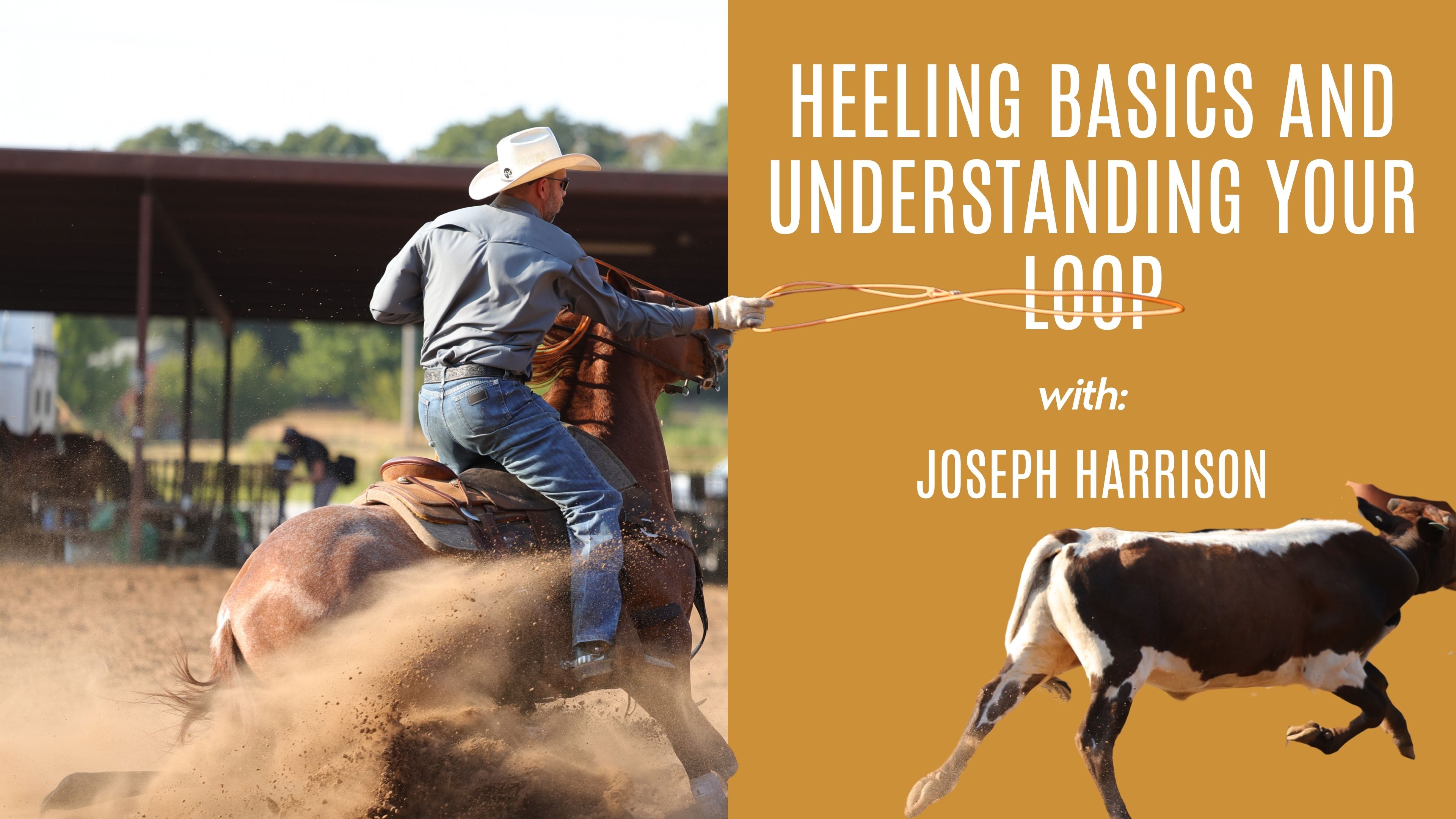 Joseph Harrison: Heeling Basics and Understanding Your Loop