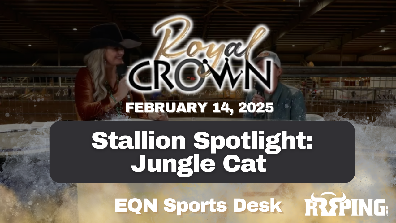 Stallion Spotlight: Jungle Cat | Royal Crown Futurity | 2/24/25