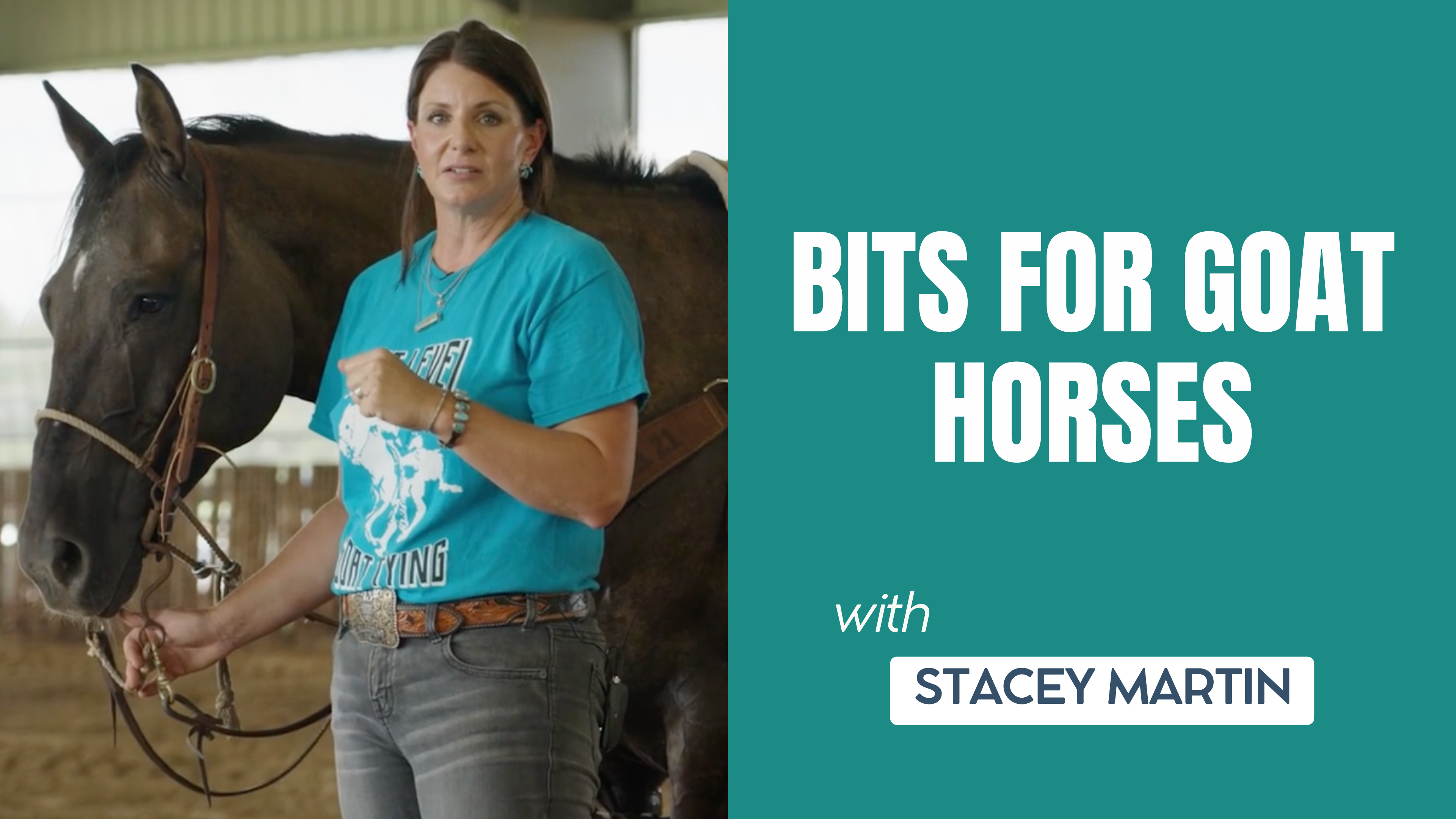 Bits for Goat Horses