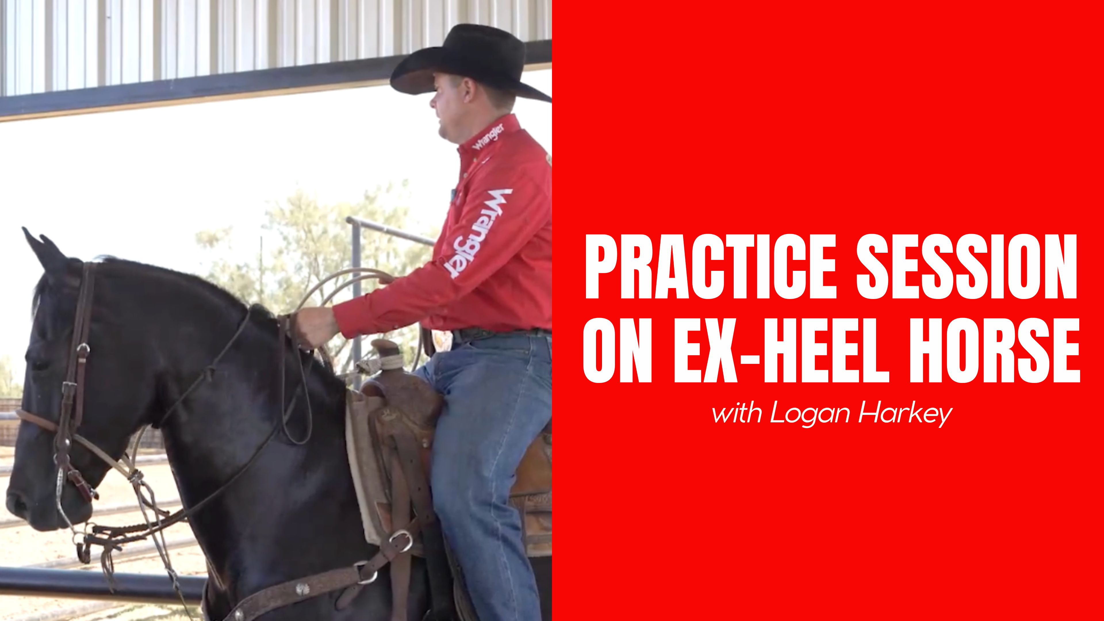 Practice Session On Ex-Heel Horse