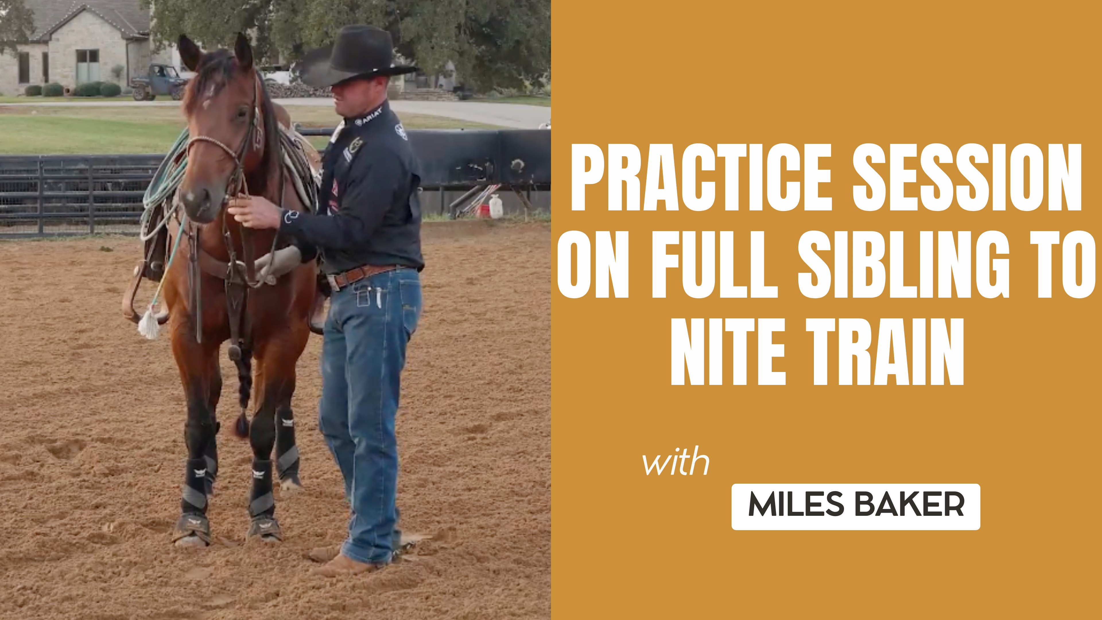 Practice Session On Full Sibling To Nite Train