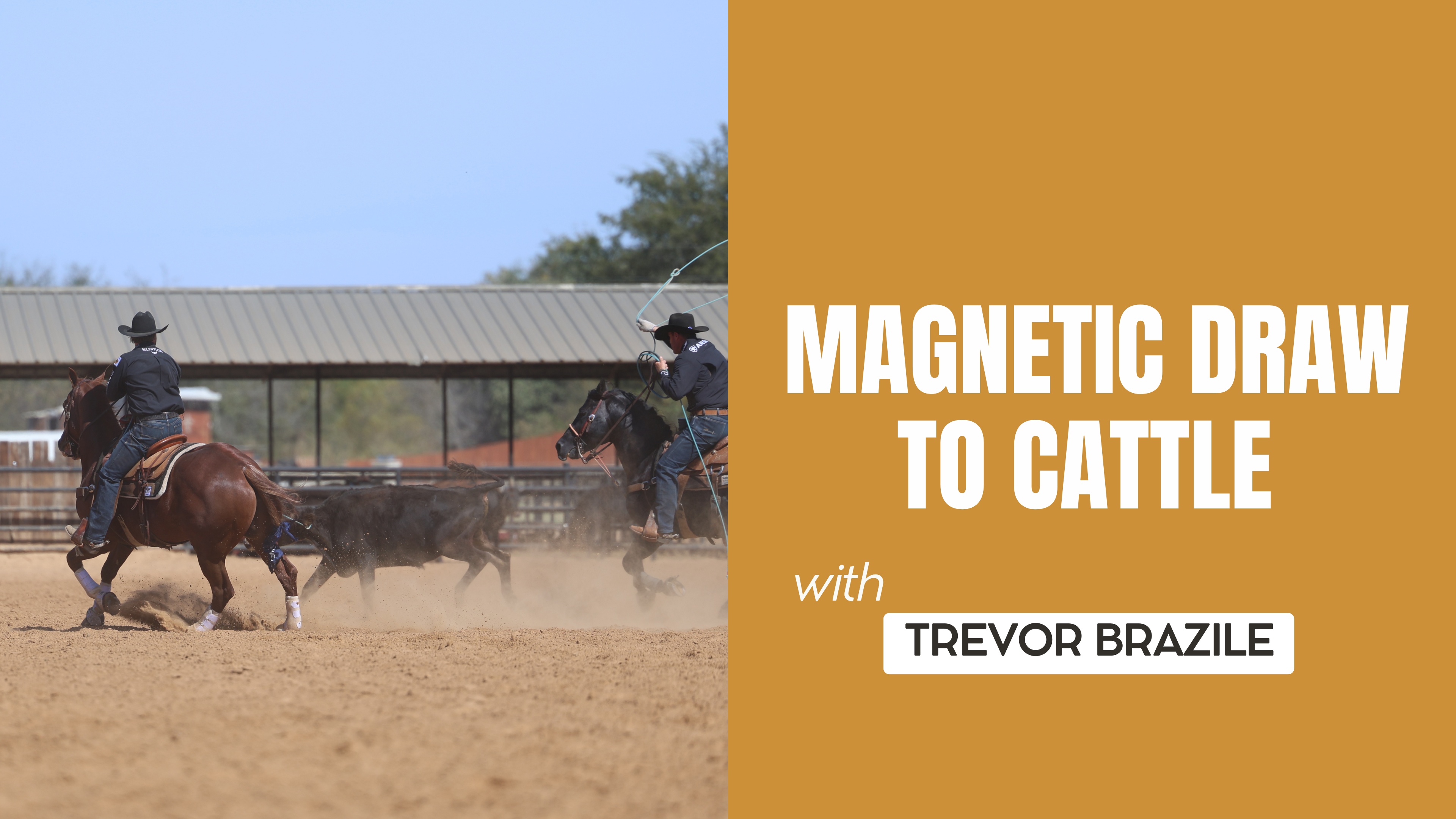 Magnetic Draw to Cattle