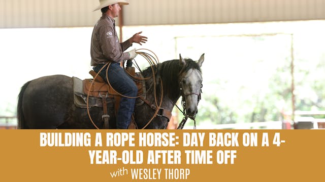 Building a Rope Horse: Day Back on a ...