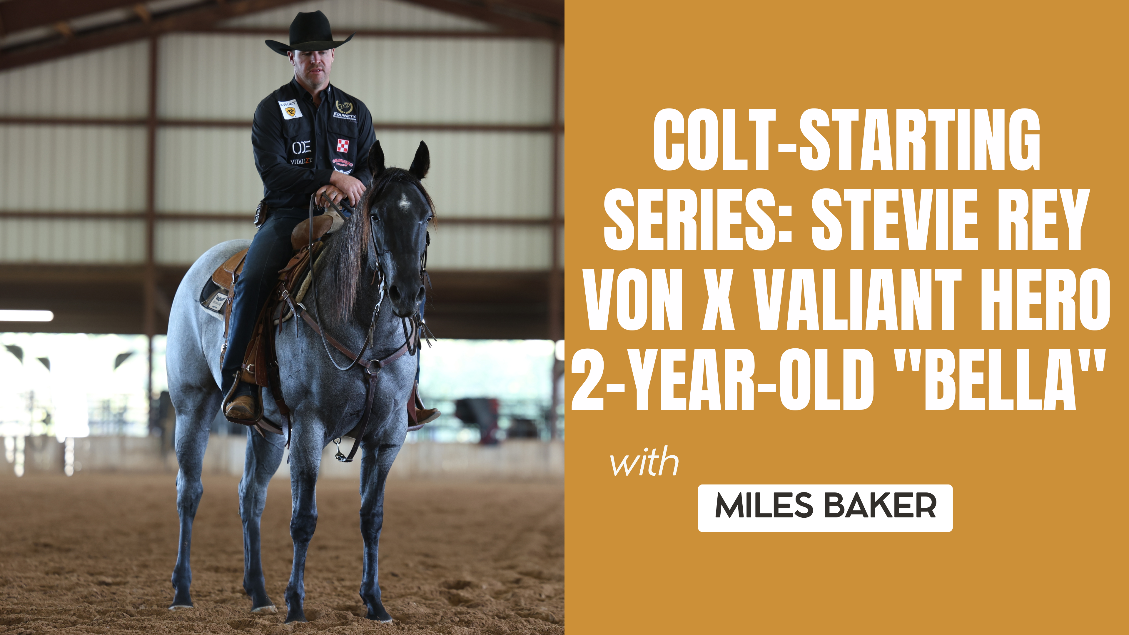 Colt-Starting Series: Stevie Rey Von x Valiant Hero 2-Year-Old "Bella"