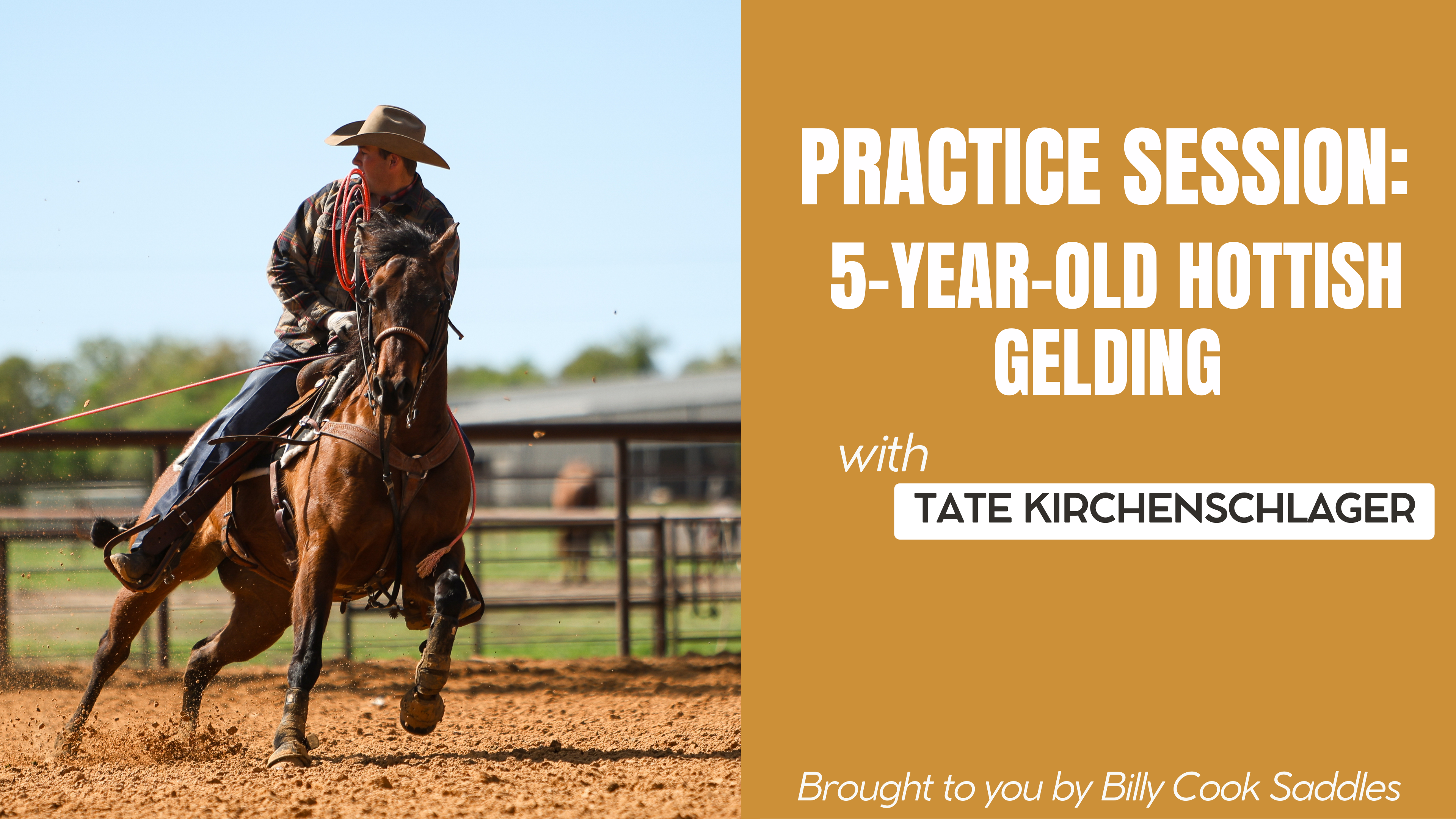 Practice Session: 5-Year-Old Hottish Gelding