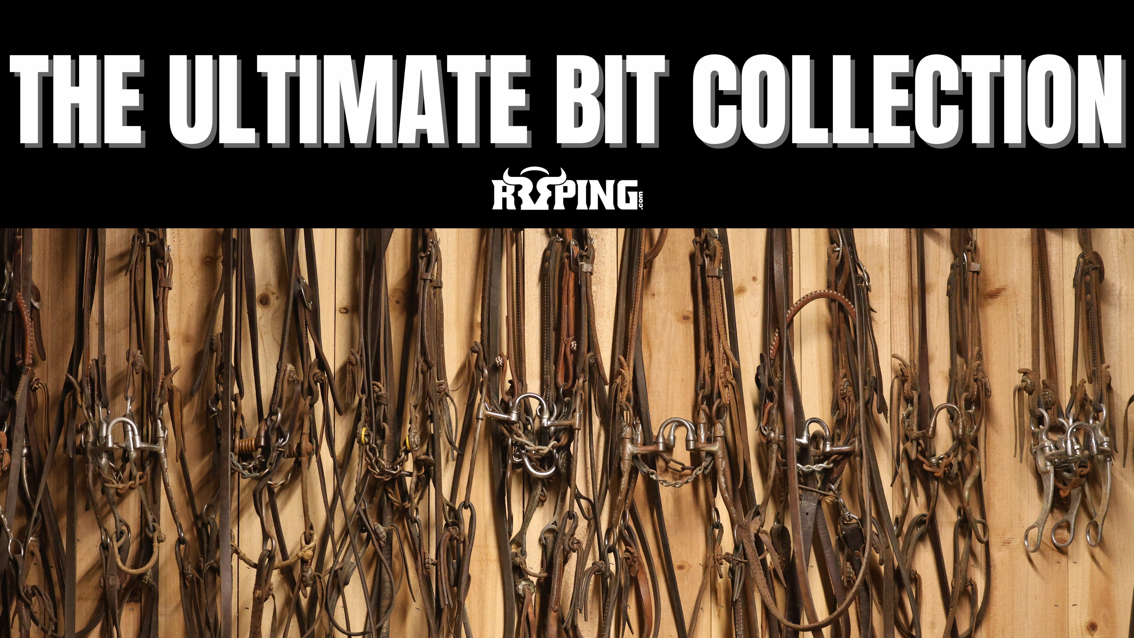 The Ultimate Bit Collection