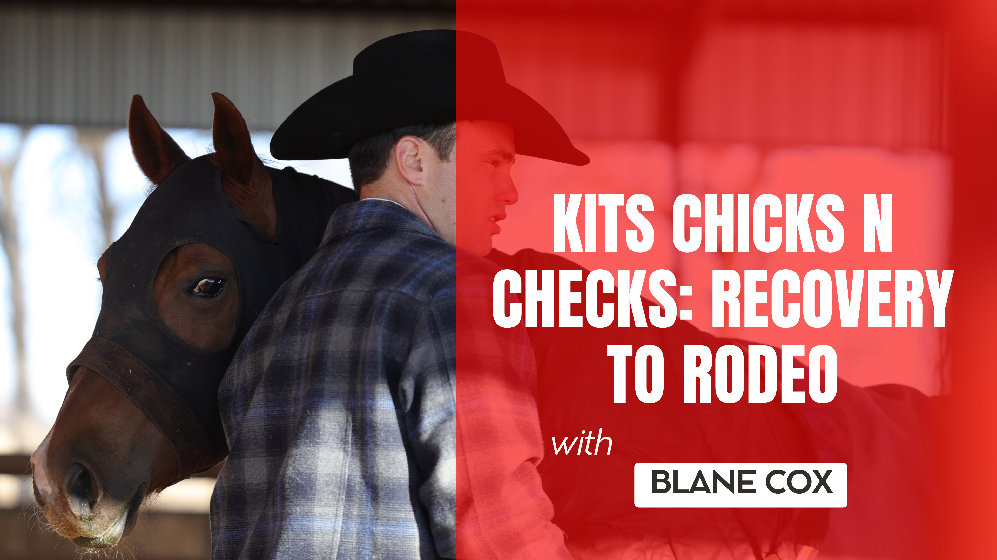 Kits Chicks N Checks: Recovery to Rodeo
