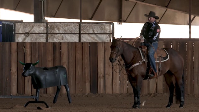 Smarty Drills for Finished Rodeo Horse