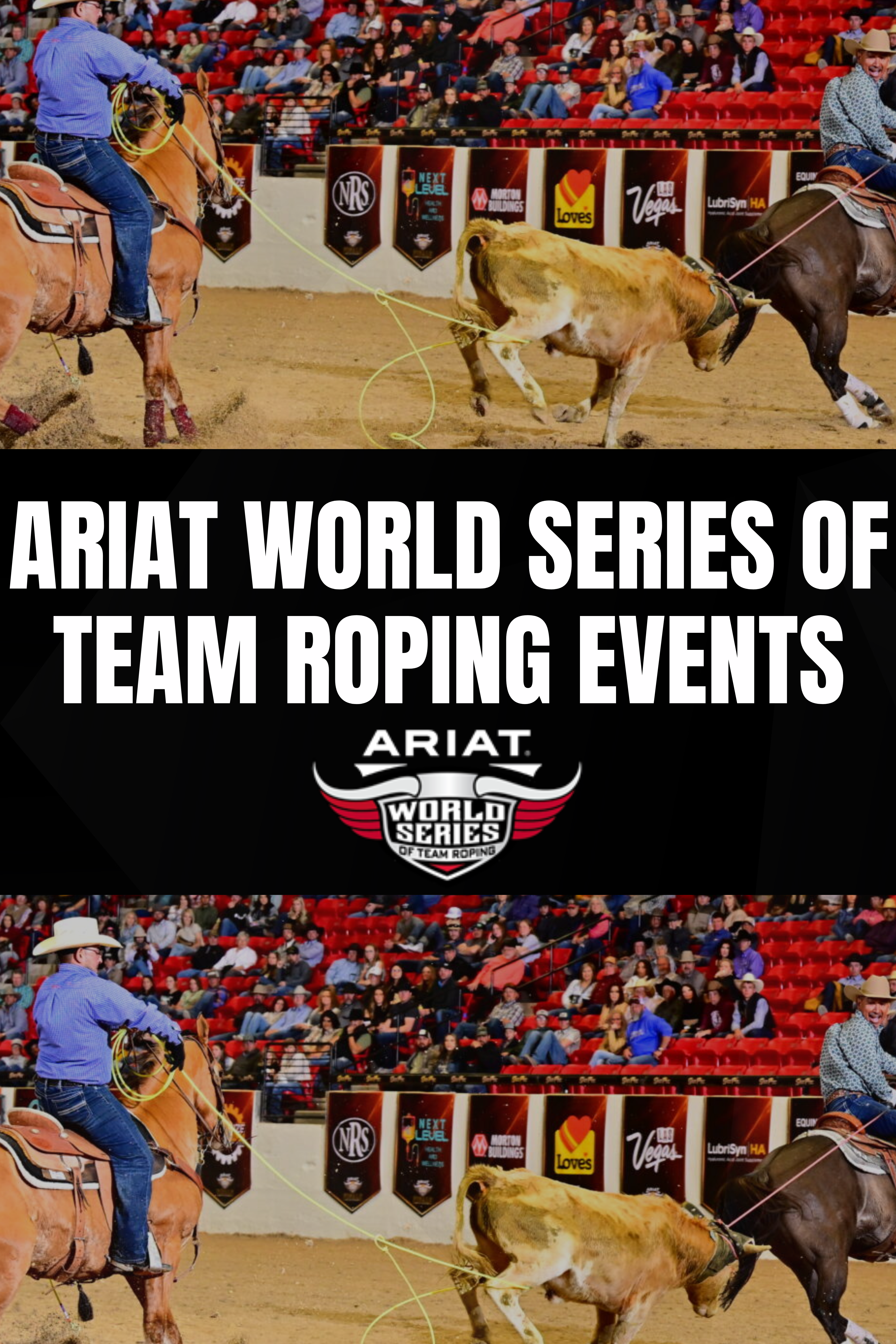 Ariat World Series of Team Roping Events