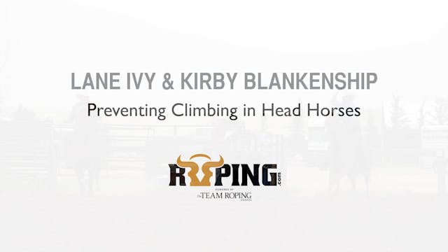 Preventing Climbing in Head Horses