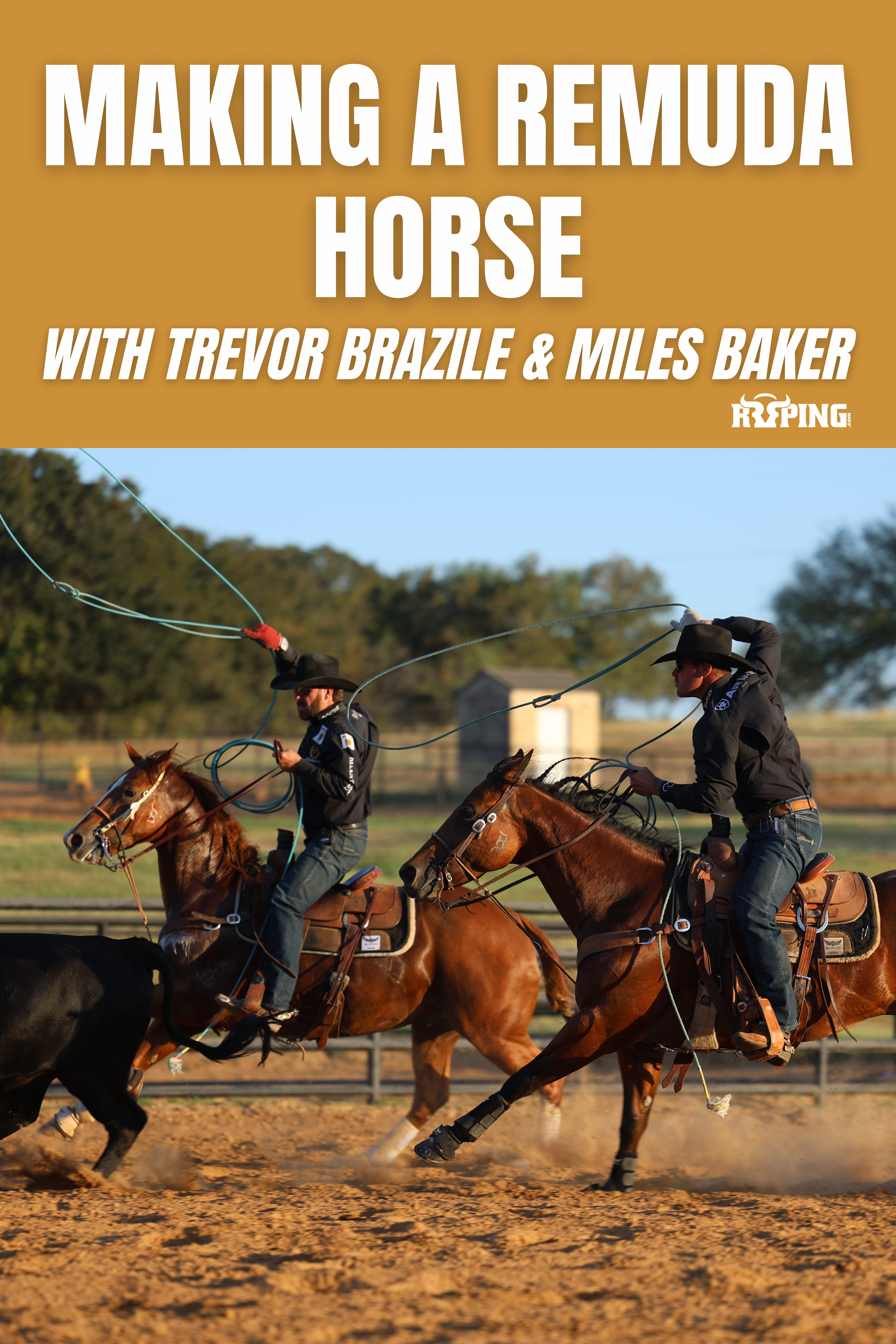 Making a Remuda Horse