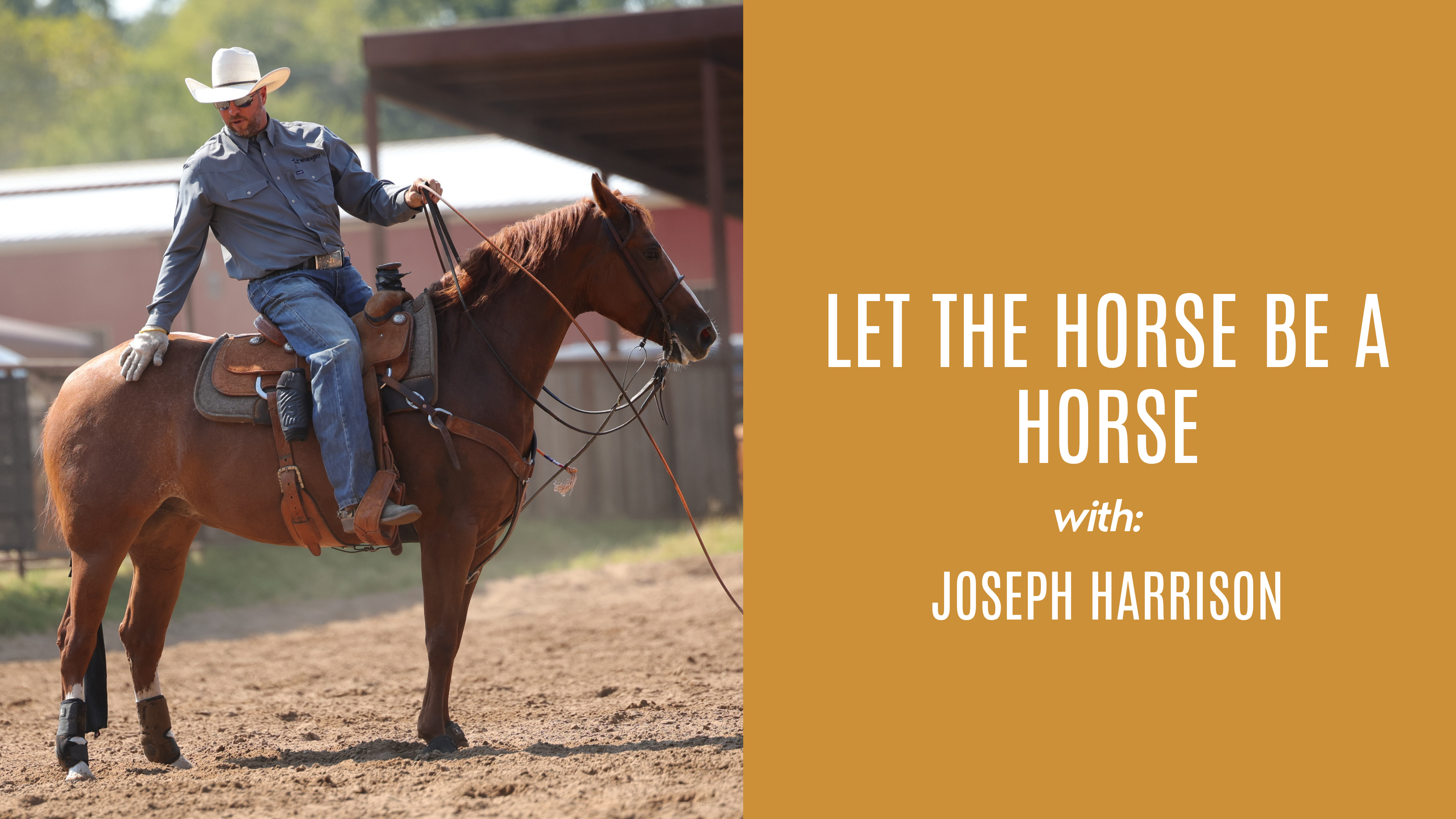 Joseph Harrison: Let the Horse Be a Horse