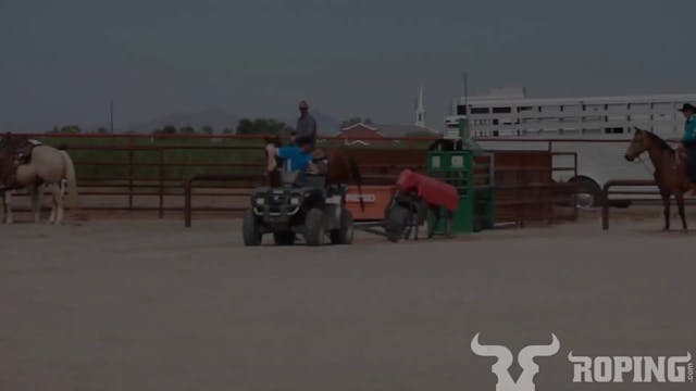 Slow Your Horse Down On The Machine