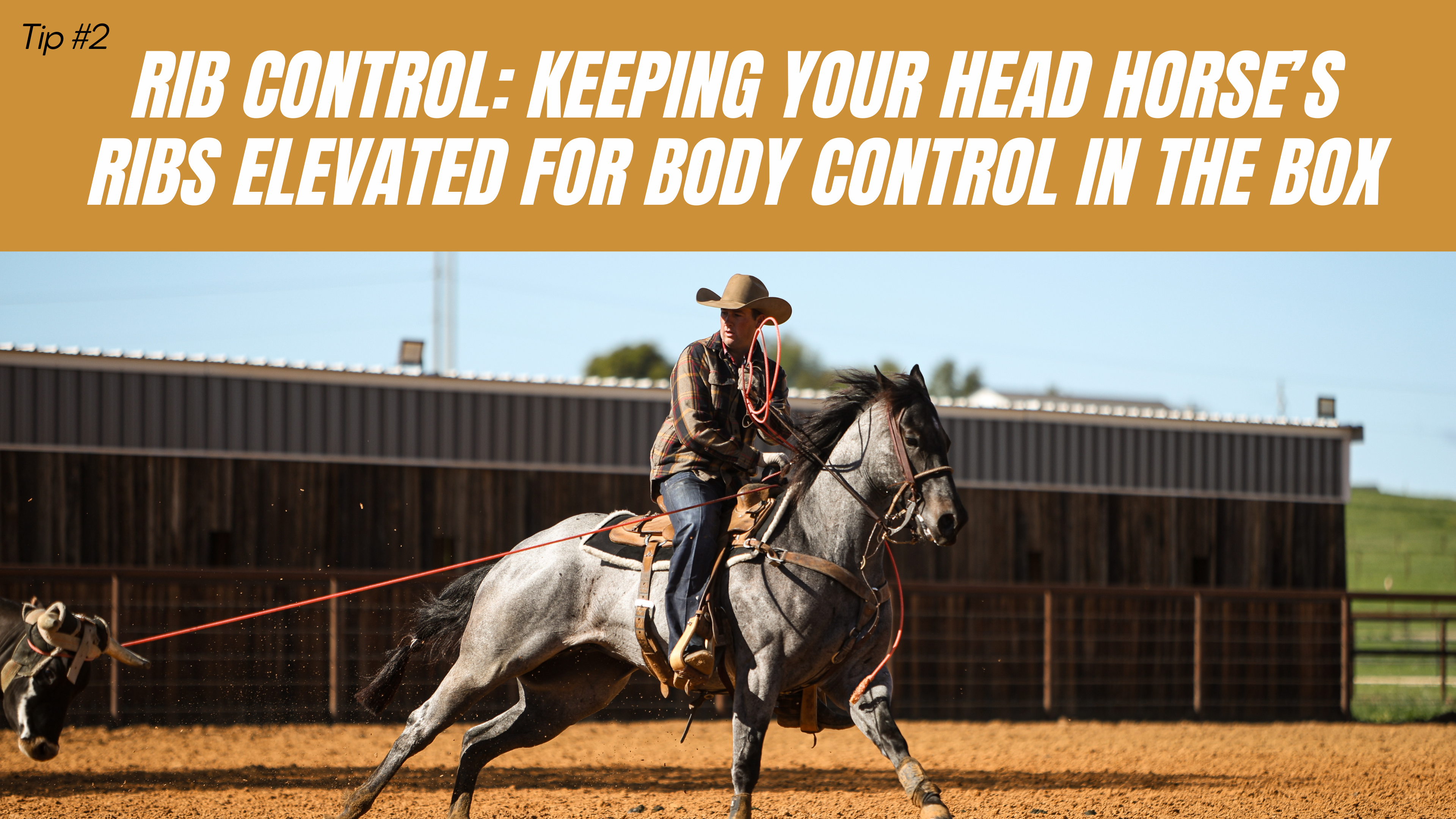 Rib Control: Keeping Your Head Horse’s Ribs Elevated for Body Control in the Box
