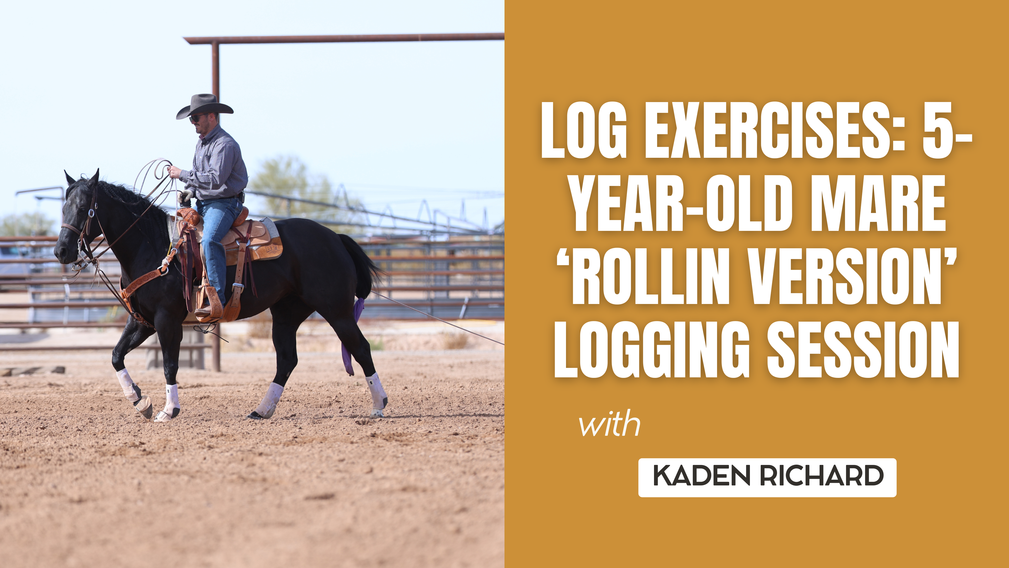 Log Exercises: 5-year-old Mare ‘Rollin Version’ Logging Session