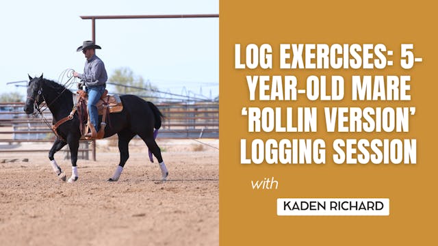 Log Exercises: 5-year-old Mare ‘Rolli...