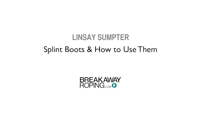 Splint Boots and How to Use Them