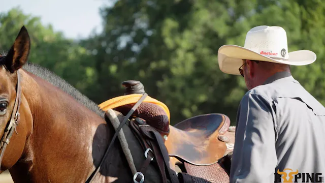 Joseph Harrison: Let the Horse Be a H...