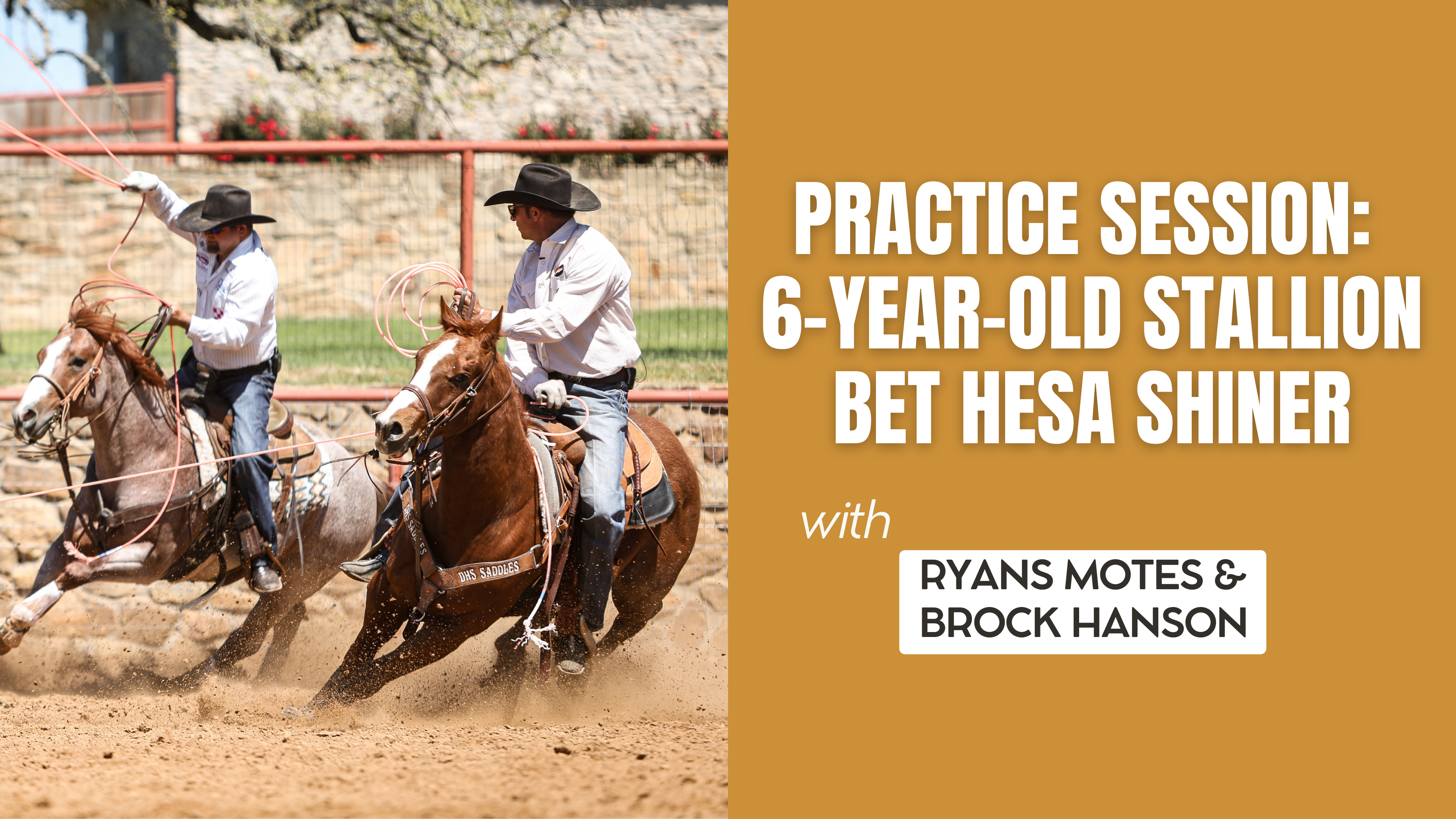 Practice Session: 6-Year-Old Stallion Bet Hesa Shiner