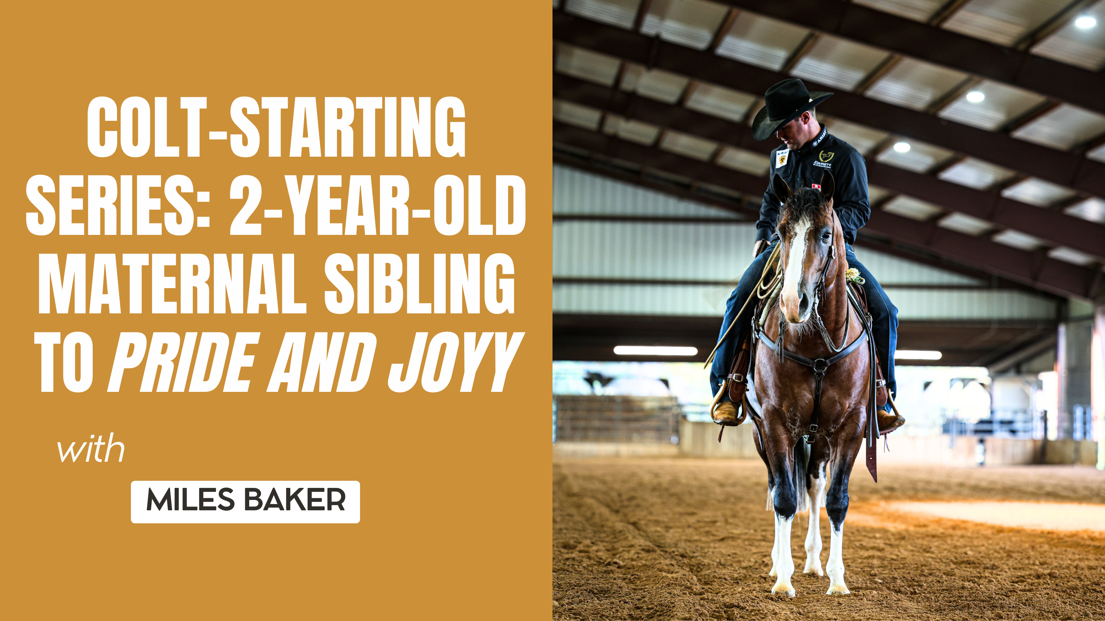 Colt-Starting Series: 2-Year-Old Maternal Sibling to Pride And Joyy