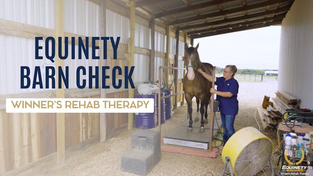 Danita Walker's Equinety Barn Check