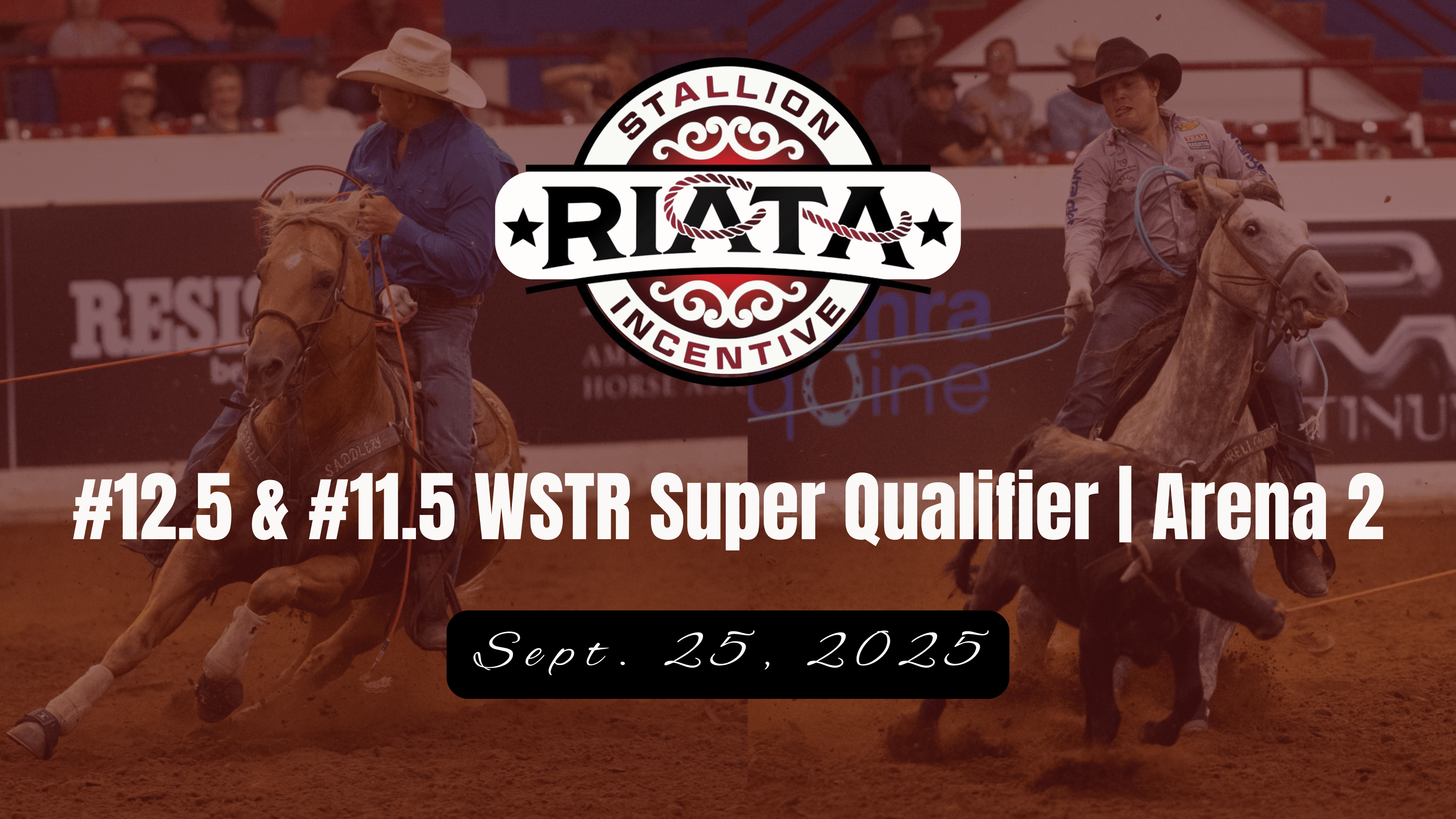 #12.5 & #11.5 Arena 2 | Riata Champio...