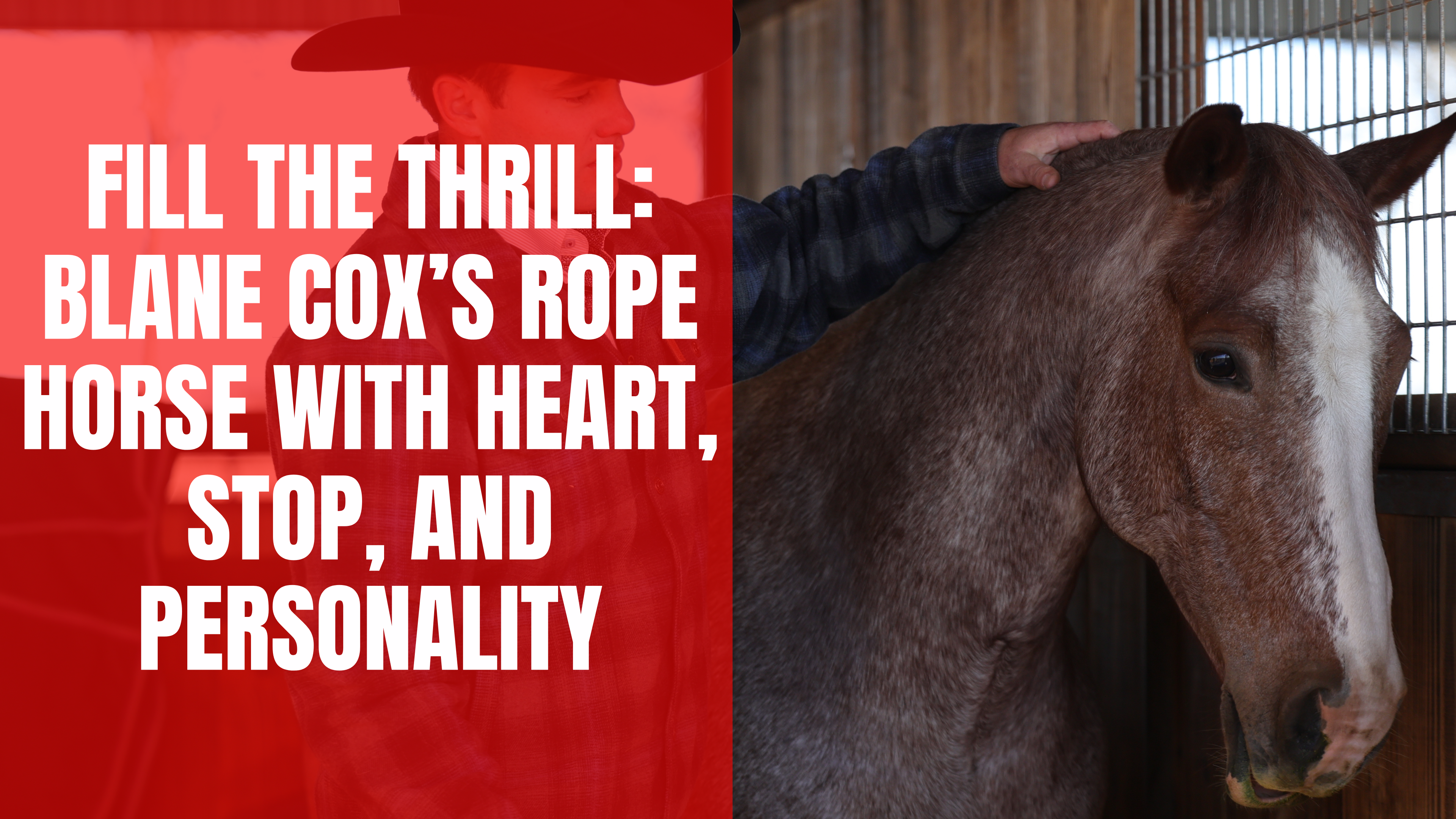 Fill The Thrill: Blane Cox’s Rope Horse with Heart, Stop, and Personality